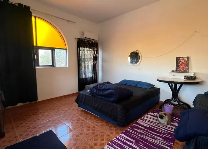Sunny And Cozy House شقة *