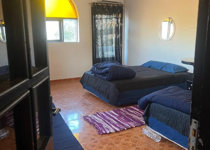 شقة Sunny And Cozy House