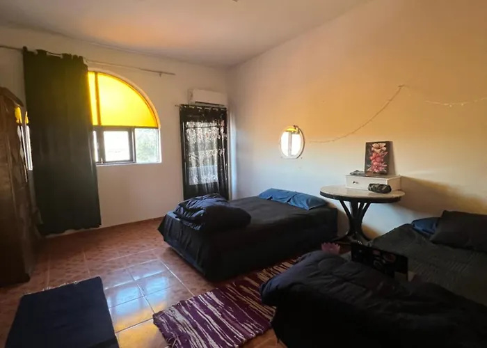 Sunny And Cozy House